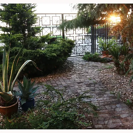 Raluca Konukevi Eforie Nord