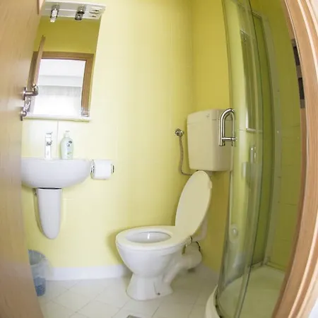 Guest house Raluca *